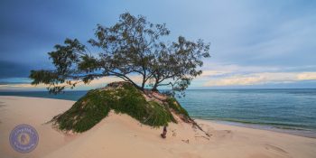 Carree Sand Blow, Sandy Cape, Fraser Island, Queensland
